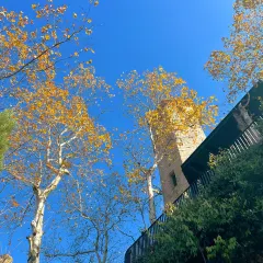 御香农家菜(后坞集散中心店) 여행 사진