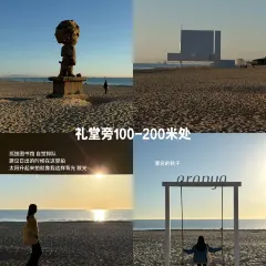 Bar Lotus User Photo