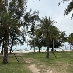 信記蝦餅張用戶圖片