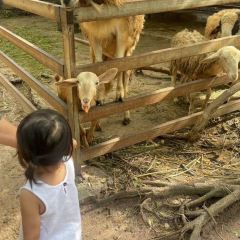 MongChang Cafe User Photo