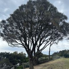 Portsea Hotel Bistro張用戶圖片