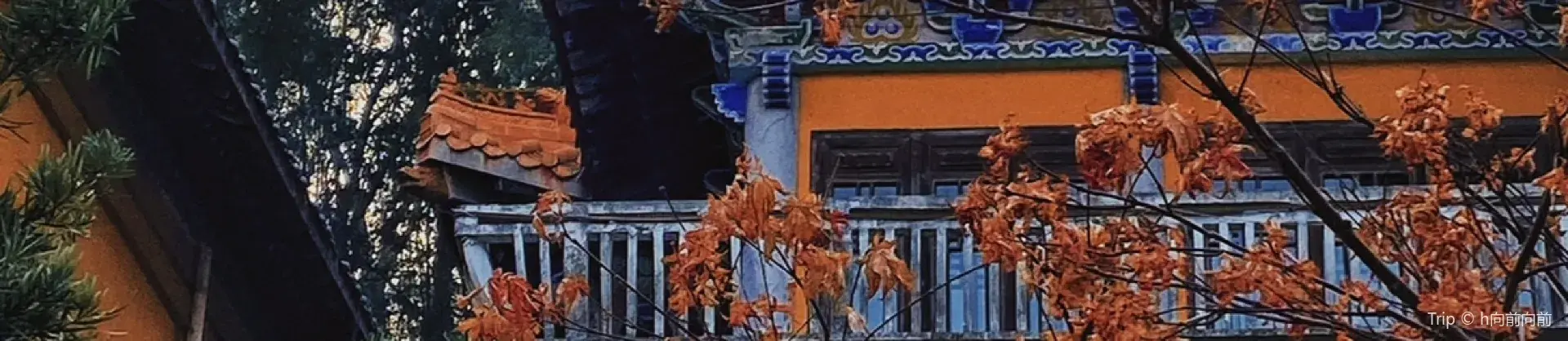 Fall Viewing Attractions