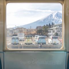 Fujiyama Cookie User Photo