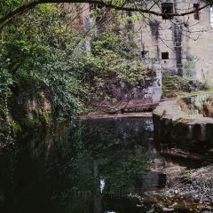 新桥河老鱼店 User Photo
