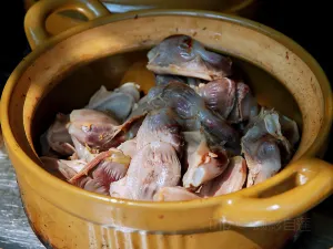 Sidan Jiangmuya