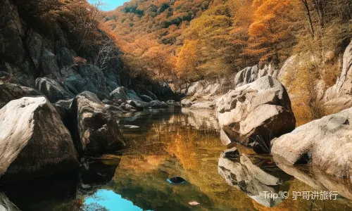 Halla Arboretum, Jeju Island,S.Korea