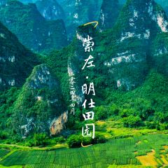 西贡咖啡(明仕店) User Photo