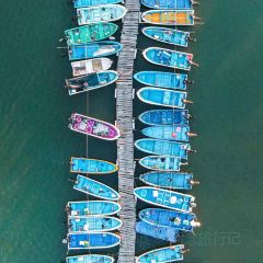 岛语plus User Photo