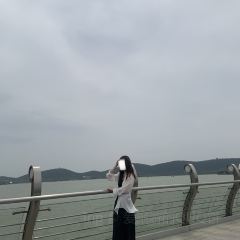 Panji Braised Pork In Brown Sauce User Photo