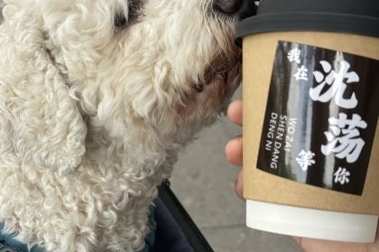 言老头面馆(南环农贸市场店)