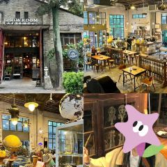 Showroom Cafe User Photo