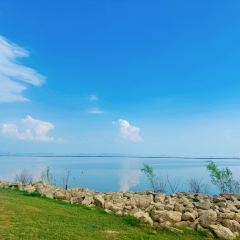 染月茶咖 User Photo