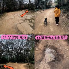 清雅茶苑(山湾里店) User Photo
