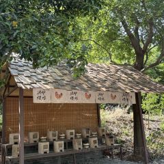 南泊湾红房子生态庄园(二环路店) User Photo