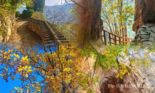 Tiangui Mountain Scenic Area