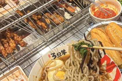 SAN ZHI YANG SHAO KAO CHENG