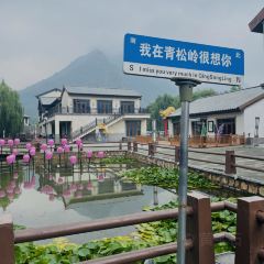 石炮沟小炒 User Photo