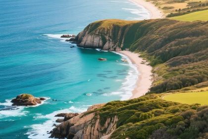 LaoMa Gong Zong Qiu (Xin Guan Jie)