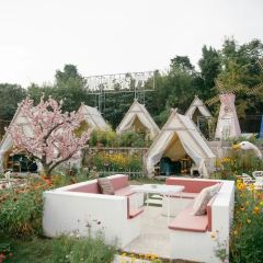 泊隐·花境 User Photo