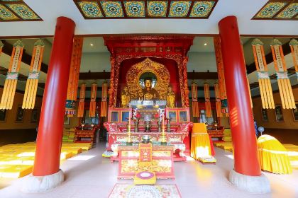 红星包子(中山路店)