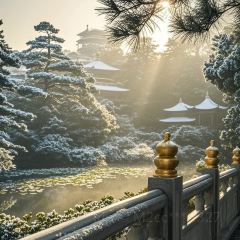 FengCheng ShuangPi Nai User Photo