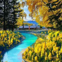 每天春羊羔烤肉店 User Photo