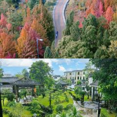 Songjihainanfenchuanchenglaodian User Photo