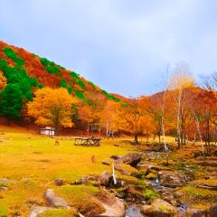 李氏烧烤屋 User Photo