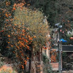 拾光餐集(东壁村店) User Photo