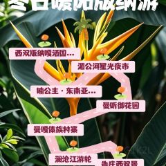 Princess Nan User Photo