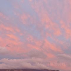 艾沙江达吾提烤包子(新友好美食街店) User Photo