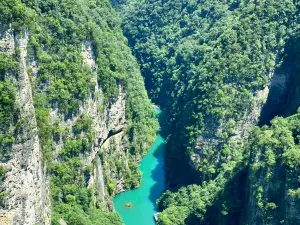 Zip Line