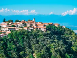 Sighnaghi Viewpoint