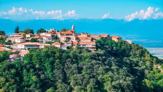 Sighnaghi Viewpoint