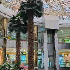 Mirmohana Resturant張用戶圖片