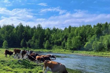 Manda Sheng Yuan Xiang chafing  dish