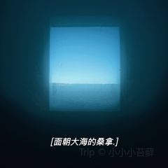 Restaurant Lonna User Photo