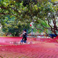 岭澜食尚 User Photo