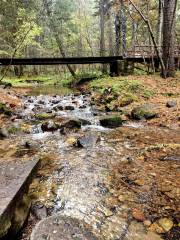 Nan Mountain Forest Park