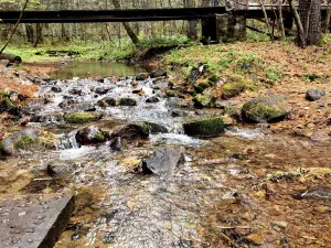 Nan Mountain Forest Park