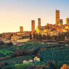 Gelateria Dondoli張用戶圖片