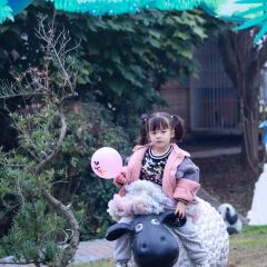 简阳三岔湖长岛天堂洲际酒店·龙轩中餐厅 User Photo