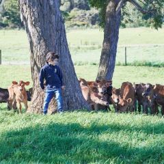 The Agrarian Kitchen User Photo