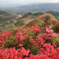 梨园三道菜 User Photo
