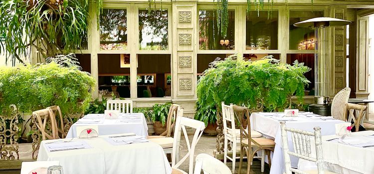 Cafe Museo Larco
