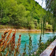 Bianbianjiecangyage Restaurant User Photo