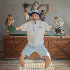 Boomah, The Owl Café User Photo
