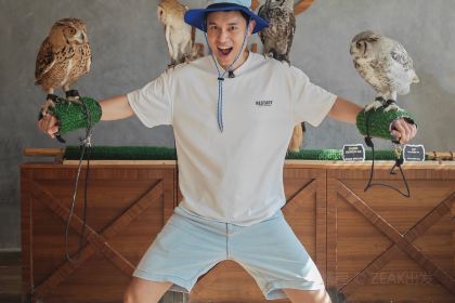 Boomah, The Owl Café