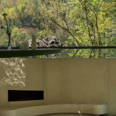 杭州明月松间·潜川酒店·最林泉 User Photo