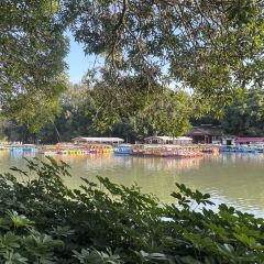 唐沫茶兮(东街盛裕店) User Photo